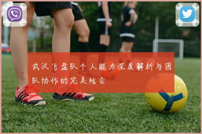 武汉飞盘队个人能力深度解析与团队协作的完美结合